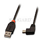 Lindy 31972 USB 2.0 Typ-A Stecker / USB 2.0 Mini-B Stecker 2m gewinkelt schwarz