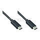 Good Connections NGCT-1739 2x USB-C 3.1 Stecker 1m schwarz