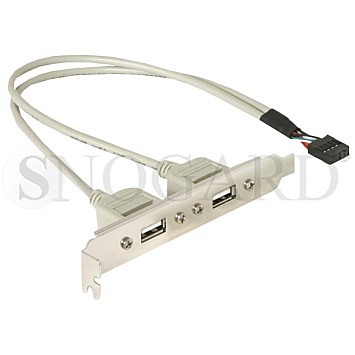 DeLock 71000 Slotblech USB-USB 2.0