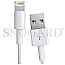 Apple ME291ZM/A Lightning auf USB Adapterkabel 0.5m