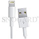 Apple MD818ZM/A Lightning auf USB Adapter