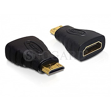 DeLock 65244 HDMI C/HDMI A Adapter