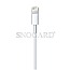Apple Lightning/USB Adapterkabel 2m (MD819ZM/A)
