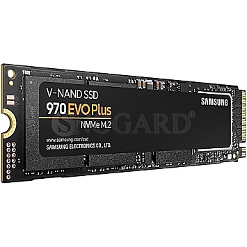 250GB Samsung SSD 970 EVO Plus M.2