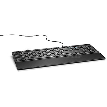 Dell KB216 Multimedia Keyboard schwarz