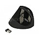 DeLOCK 12599 Ergo USB Maus vertikal schwarz kabellos/USB