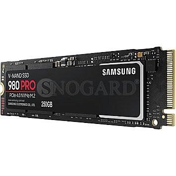 250GB Samsung MZ-V8P250BW SSD 980 PRO M.2 SSD