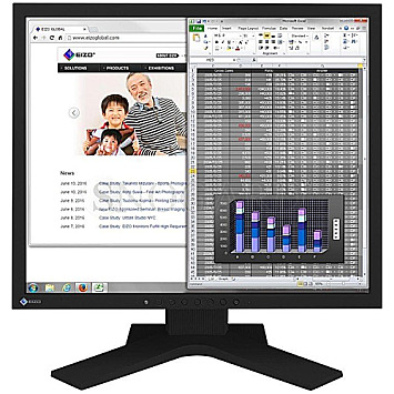 48.3cm (19") EIZO FlexScan S1934H-BK IPS 5:4 Pivot schwarz