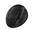 LogiLink ID0139 Wireless Ergonomic Mouse 2.4GHz black