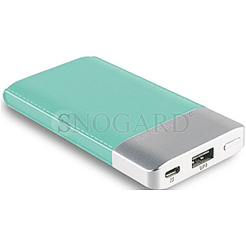 Ultron 282248 RealPower PB-4000 Fashion Powerbank lake blue