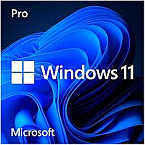 Windows 11 Pro 64bit DSP/SB DVD dt.