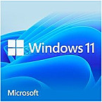 Windows 11 Home 64bit DSP/SB DVD dt.