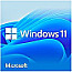 Microsoft Windows 11 Home 64Bit UK DVD DSP/SB (englisch)