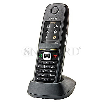 Gigaset R650H Pro DECT Mobilteil + Ladeschale IP65