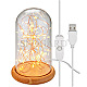 Goobay 60340 Glasglocke mit LED Micro Lichterkette USB IP20 Holzsockel