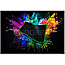 Razer RZ02-02500300-R3M1 Goliathus Extended Chroma Classic Black 920x294mm