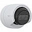 Axis M3115-LVE Full-HD Fix Dome PoE Outdoor IP-Cam