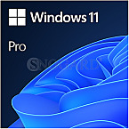 Windows 11 Pro FQC-10528 64bit DSP/SB DVD UK englisch