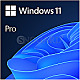 Windows 11 Pro FQC-10528 64bit DSP/SB DVD UK englisch