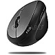 Inca IWM-279G Wireless Vertical Mouse grau