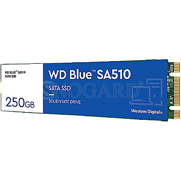 250GB Western Digital WDS250G3B0B WD Blue SA510 M.2 2280 SATA 6Gb/s SSD