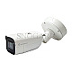 LevelOne FCS-5212 Gemini Zoom IP Camera Outdoor PoE