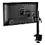 Arctic AEMNT00061A X1 Monitorarm bis 49" VESA schwenkbar schwarz