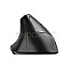 Trust 24110 Bayo Wireless Rechargeable Ergonomic Mouse schwarz/grau