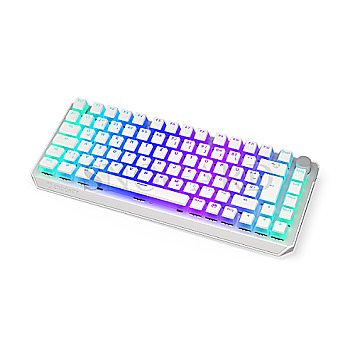 Endorfy EY5D020 Thock 75% Wireless Pudding PBT Kailh Box BLACK