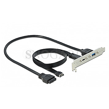 DeLOCK 89934 Slotblech mit 1x USB Typ-C und 1x USB Typ-A Port