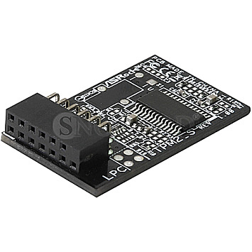 ASRock TPM-Modul TPM2-SLI Bulk 13pin bulk