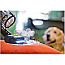 Hoover HF910P 011 Anti-Twist Akku-Handstaubsauger