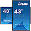 108cm (42.5") Iiyama ProLite LH4375UHS-B1AG IPS UHD 4K Mediaplayer Android WiFi