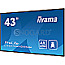 108cm (42.5") Iiyama ProLite LH4375UHS-B1AG IPS UHD 4K Mediaplayer Android WiFi