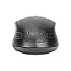 Digitus DA-20161 Wireless Optical Mouse optisch schwarz