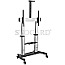 StarTech.com STNDMTV100 TV-Wagen 60-100" VESA neigbar Rollen