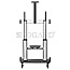 StarTech.com STNDMTV100 TV-Wagen 60-100" VESA neigbar Rollen