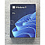 Windows 11 Pro 64bit DSP/SB USB dt.