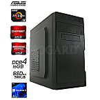 OfficeLine R3-4300G-M.2 W11Pro