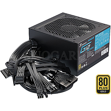 850 Watt SeaSonic SSP-850RT2 G12 GC 850W ATX 3.0 fest 80 PLUS Gold