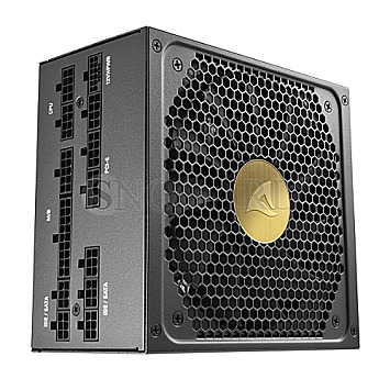 1000 Watt Sharkoon Rebel P30 Gold ATX 3.0 vollmodular  80 PLUS Platinum