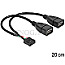DeLOCK 83292 USB Pinheader 10Pin Buchse -> 2x USB Typ-A Buchse 20cm
