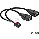 DeLOCK 83292 USB Pinheader 10Pin Buchse -> 2x USB Typ-A Buchse 20cm