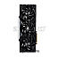 16GB Gainward NE7507TS19T2-GB2031C GeForce RTX5070Ti Phoenix GS V1