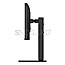 60.5cm (23.8") LG 24BA750-B IPS Full-HD 100Hz LAN Lautsprecher Pivot