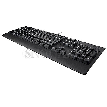 Lenovo KU-1619 Keyboard CH Schweizer Layout USB schwarz