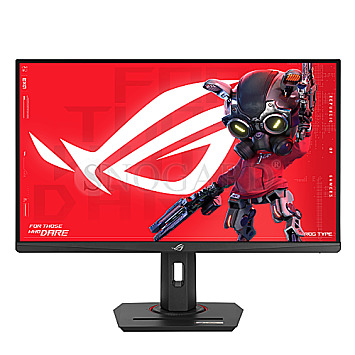 68.6cm (27") ASUS ROG Strix XG279CNS IPS Full-HD 380Hz Gaming G-Sync