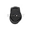 Equip 245115 Wireless Optical Mouse Dual Adapter USB-C+A schwarz