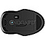 HP 250 6V2J7AA Dual Mode Wireless Mouse schwarz