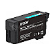 Epson T40D2 Singlepack Tinte 50ml cyan